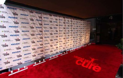 SUFAC-Dave Mattews step _ Repeat _ Carpet